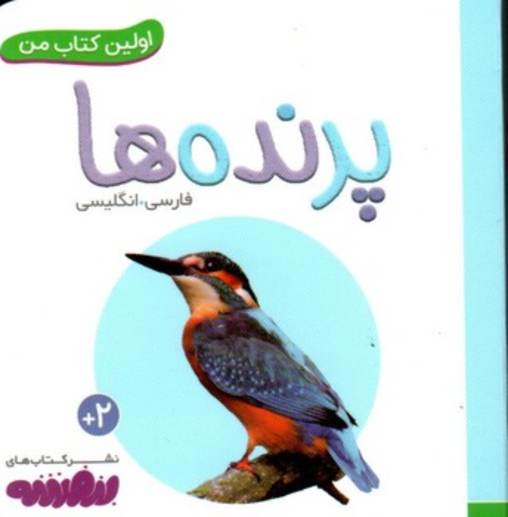 تصویر  بورد بوک اولین کتاب من - پرنده ها (خشتی کوچک-شمیز)